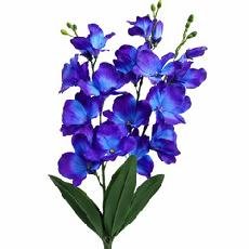 Orchid Stick