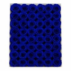 Roses Dark blue